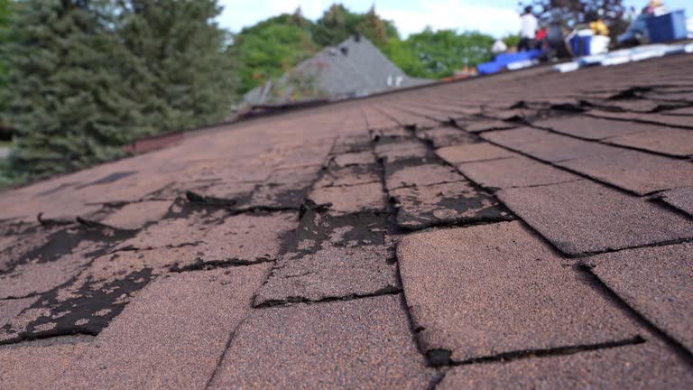 Best Green or Eco-Friendly Roofing Solutions  in Hartland, WI