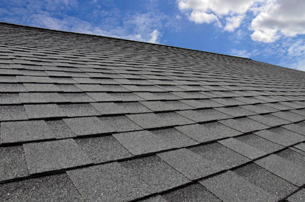 Best Solar Panel Roofing Installation  in Hartland, WI