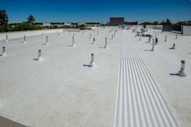 Best Skylight Installation and Repair  in Hartland, WI