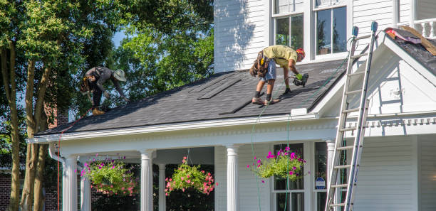 Best Roof Moss and Algae Removal  in Hartland, WI